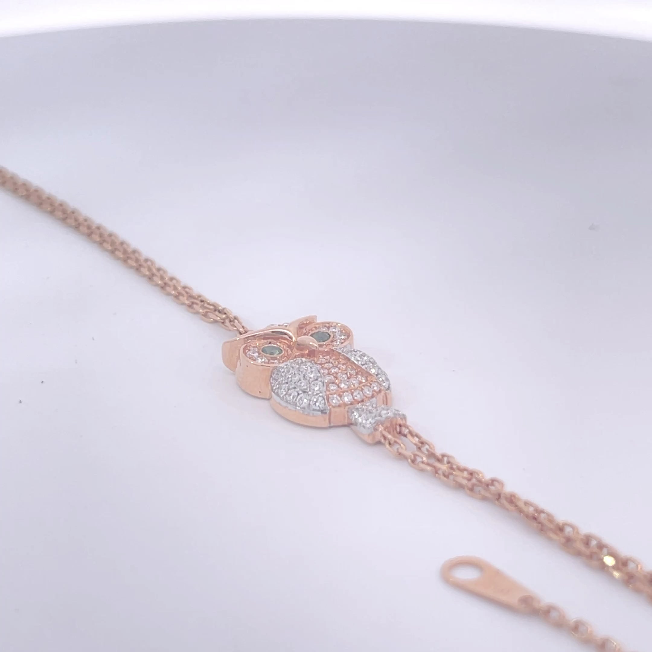 سوار البومة المراقبة