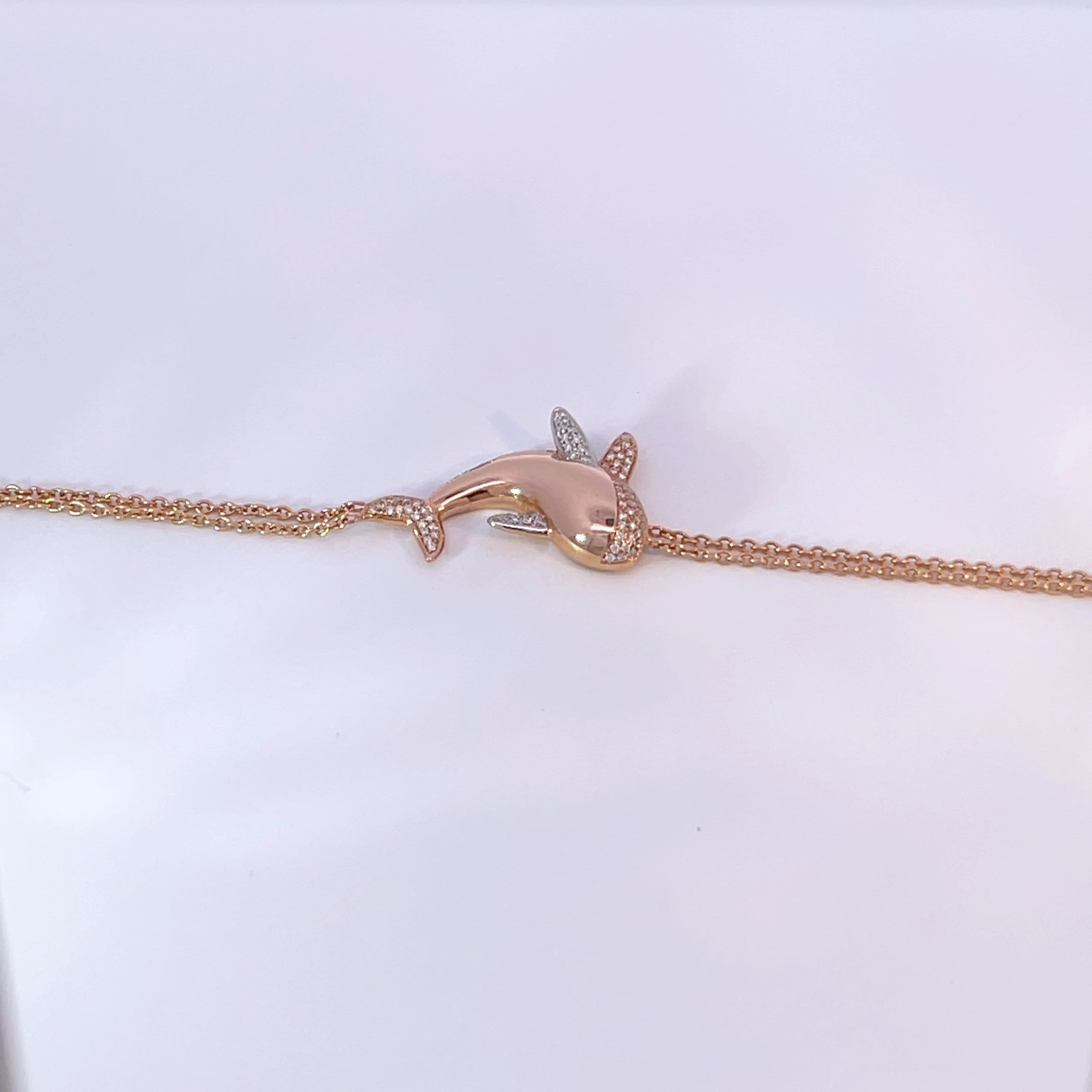 سوار الحوت الحكيم