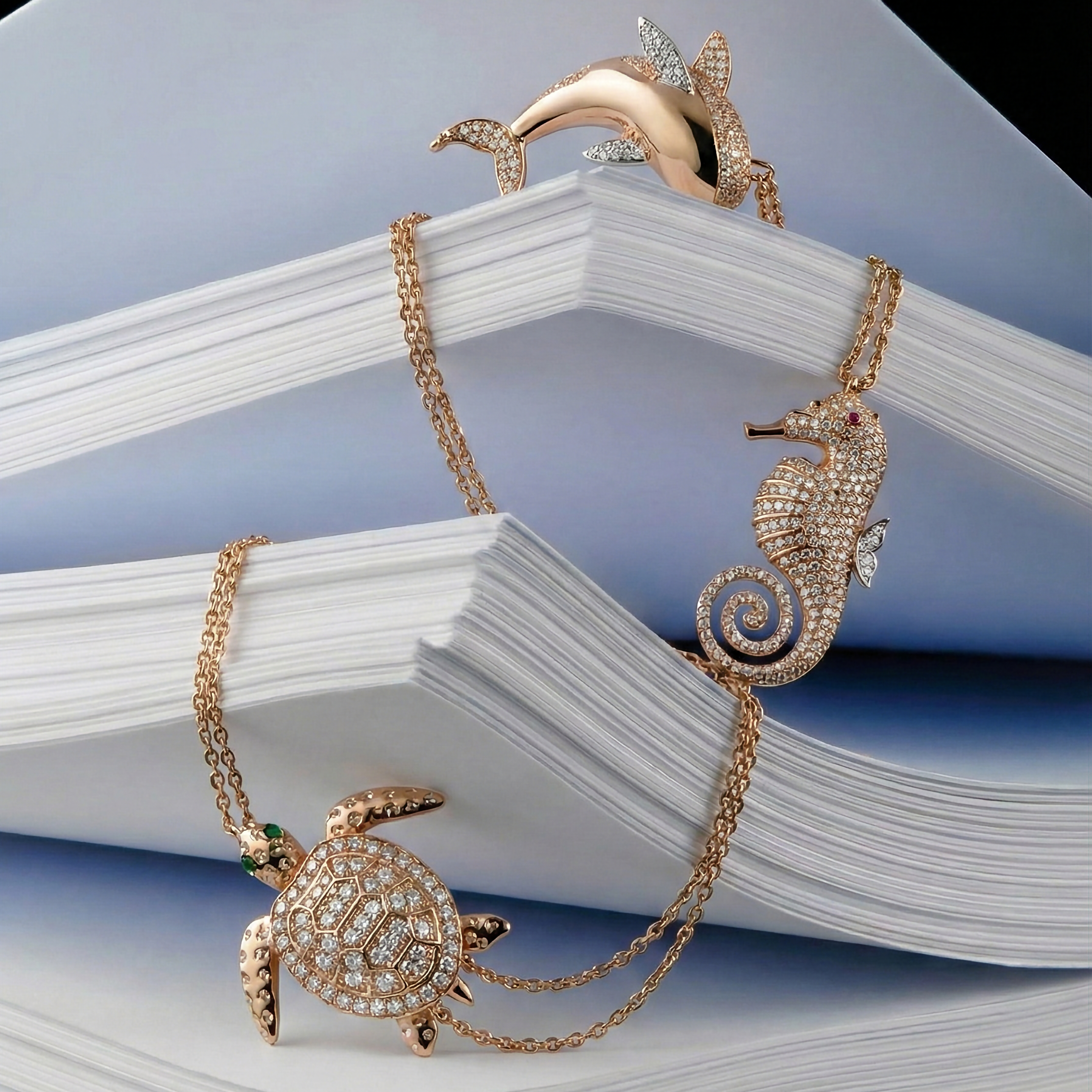 سوار حصان البحر